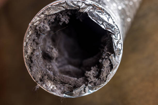 Best Affordable HVAC Duct Cleaning  in Ferndale, PA