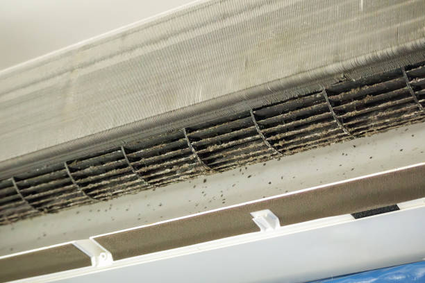 Best Affordable Duct Cleaning Services  in Ferndale, PA