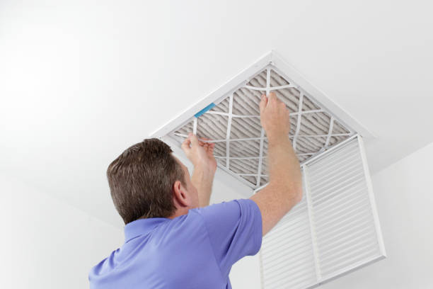 Best Dryer Vent Cleaning Services  in Ferndale, PA